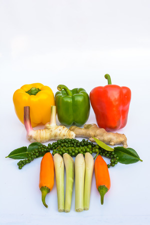 Thai food material for cook a good tasteの写真素材