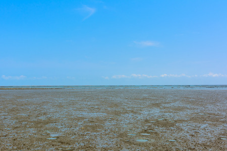 Sludge on the beach near mangrove forest in Thailand