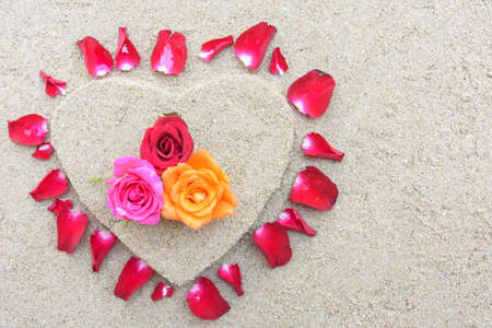 Three rose on sand backgroundの写真素材