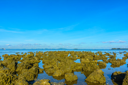 Rock on the beach with blue skyの写真素材
