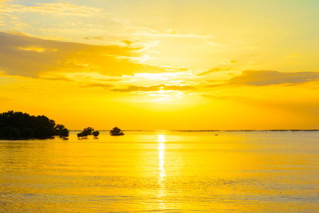 Sunset and yellow skyの写真素材