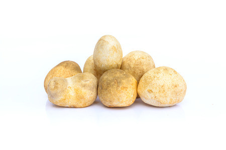 Volvariella volvacea mushroom on white backgroundの写真素材