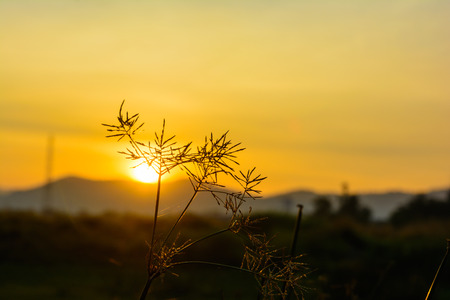 Sunrise with mountain background. Nature and outdoor landscape backgroundの写真素材