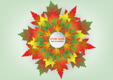 Maple leaf blossom. Colorful leaf in autumn season Vector EPS10のイラスト素材
