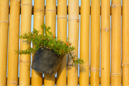 Flower pot holding on bamboo wall background. Garden design and decorationの写真素材
