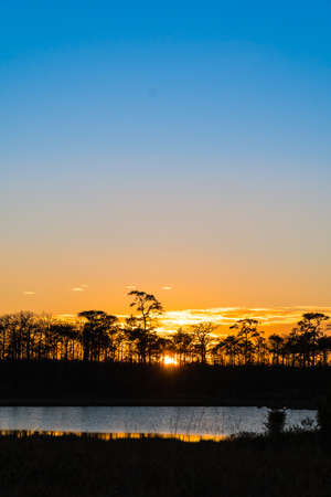 Sunset with pine forest and reservoir and blue sky background. Nature and outdoor background in national park at Thailandの写真素材