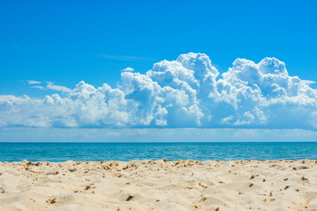 Beach, sea, big white cloud over water.の写真素材