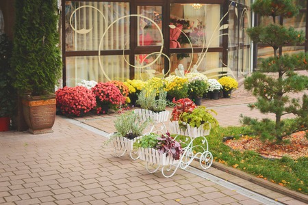 Flowers and plants stand in pots in the form of carts on the street on the pavementの写真素材