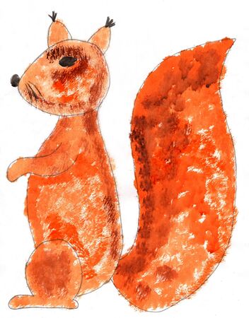 Red squirrel in profile on a white background. Drawing on paperの写真素材