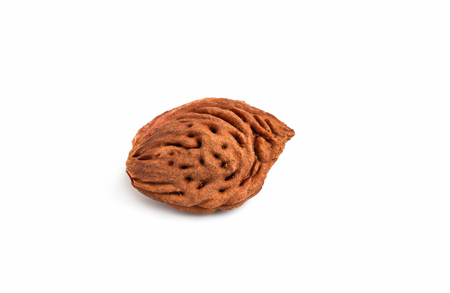 Bone peach isolated on white background 1の写真素材