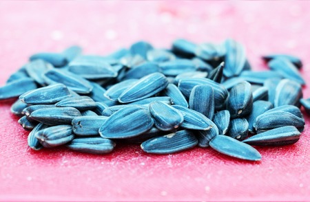 Black Sunflower seeds on a red backgroundの写真素材