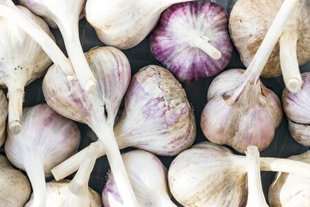Close-up Garlic bulbs and garlic cloves is a top viewの写真素材