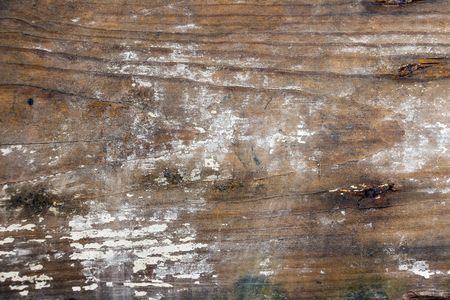 Abstract wooden background with remnants of white paintの写真素材