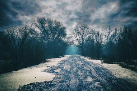Winter road in light fog in the mystical forest. The sky in dark clouds.の写真素材