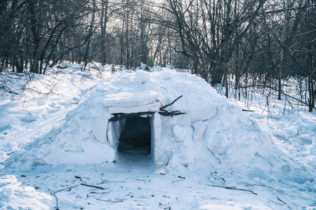 A small igloo in the forest among the trees. Snow hutの写真素材