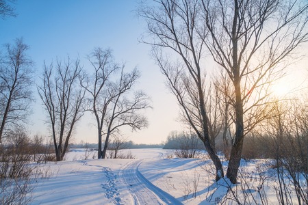 Winter Sun in the trees above the snow-covered glade. Winter landscape. On the snow you can see the track from the snowmobileの写真素材