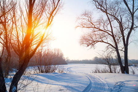 The sun is in the trees above the snow-covered glade. Winter landscapeの写真素材