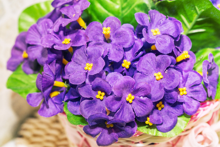 Beautiful bouquet of artificial lilac violets. Viola odorataの写真素材