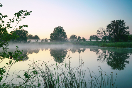 Morning fog on a quiet beautiful lakeの写真素材