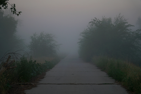 Morning or evening Mystical fog on a country roadの写真素材