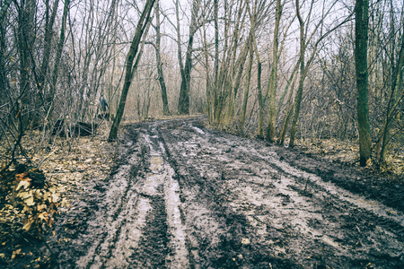 Off-road track in autumn forest. Dirty autumn road in a deserted forestの写真素材