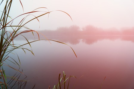 Mystical Fog in the early morning on a small lake. Sunrise on a misty morning on the lakeの写真素材