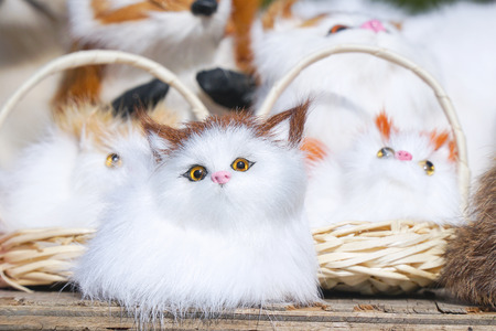 Soft toys white kittens sitting in front of the cameraの写真素材