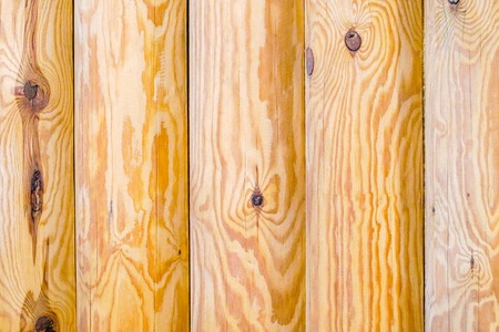 Texture of a wooden wall from logs