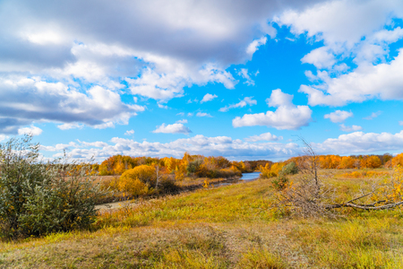 Autumn landscape. Blue sky with clouds, small river, orange leaves on treesの写真素材