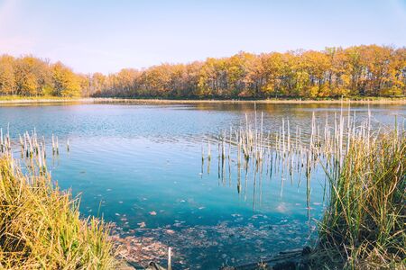 Beautiful lake in the autumn forest against the blue skyの写真素材