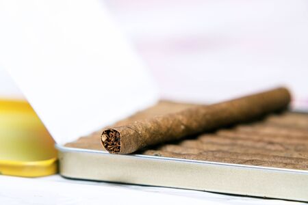 Box of cigarillos on a white background. On the box is one cigarillo. Selective focus. Close up