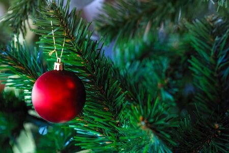 Christmas balls on the Christmas tree branch. Selective focusの写真素材