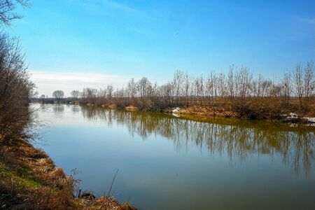Spring flood on the river. High water. Spring landscape