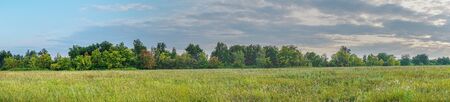 Panorama of a large green meadow on a cloudy day
