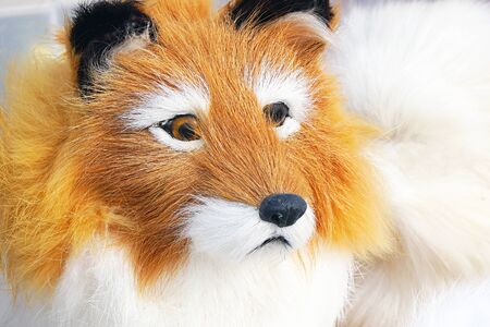 Portrait of a soft toy lion. Muzzle of a soft toy lion close up