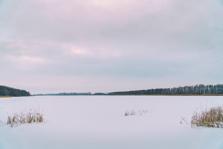 Winter landscape. A snow field or a large lake under the snow in front of a forest. In the...