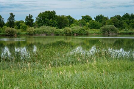 Calm forest lake on a quiet Sunny day. Summer landscape. Soft focusの写真素材