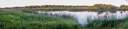 Panorama of a small quiet river against the forest. Summer landscape
