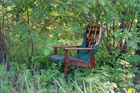 An old broken chair stands alone in a thicket of green forestの写真素材