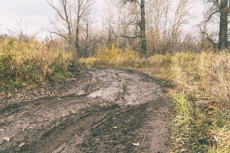 An impassable road, off-road track in autumn forest.の写真素材