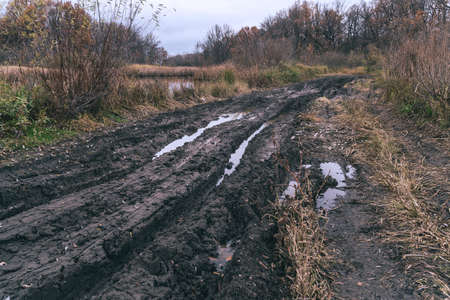 An impassable road, off-road track in autumn forest. Deep ruts in the slushy autumn roadの写真素材