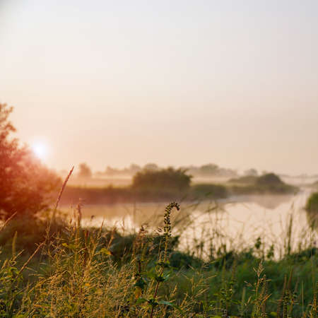 Sunrise in a light fog on a small river. Selective Focus