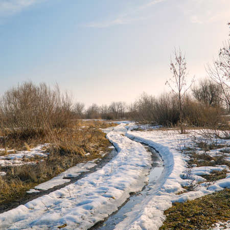 The last snow on a country road among dry grass and bushes in early spring or late winterの写真素材