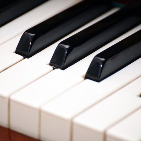 View of the black and white Piano keyboardの写真素材
