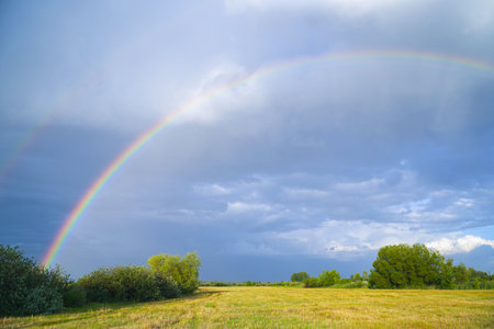 Rainbow on the background of storm clouds over a mown meadowの写真素材