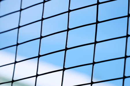 Grid with a rectangular cell on a blue sky background