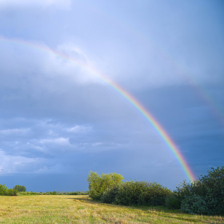 Rainbow on the background of storm clouds over a mown meadowの写真素材