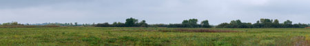 Panorama Meadow with freshly mown grass on the background of a small forest. Soft focusの写真素材