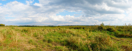 Summer panorama of a wild village meadowの写真素材