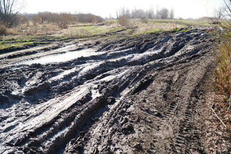 A dirty impassable country road with deep roots
